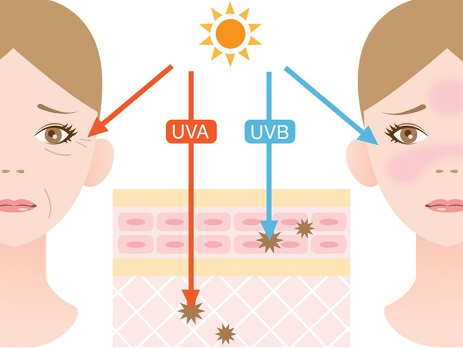 Tác động của tia cực tím